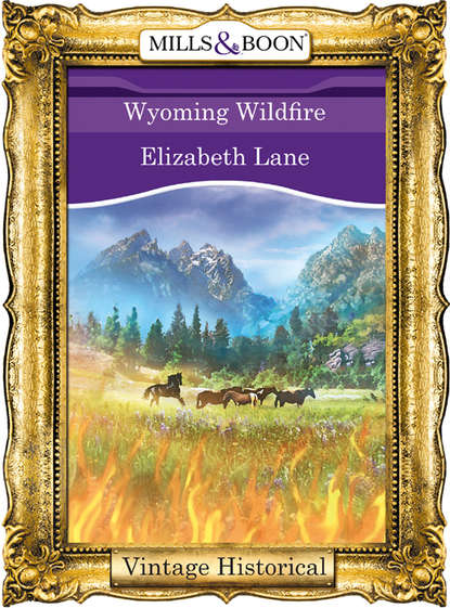 Wyoming Wildfire